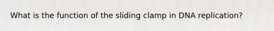 ​What is the function of the sliding clamp in DNA replication?
