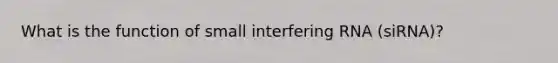 What is the function of small interfering RNA (siRNA)?