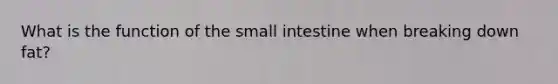 What is the function of the small intestine when breaking down fat?