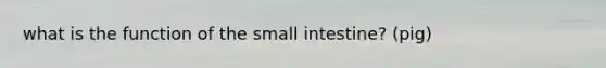 what is the function of the small intestine? (pig)