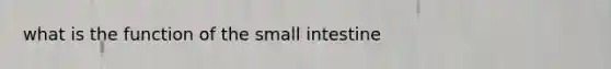 what is the function of the small intestine