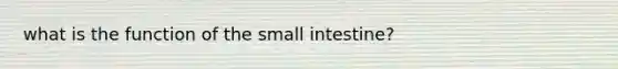 what is the function of the small intestine?