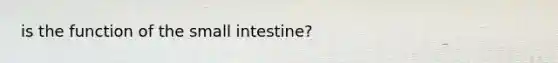 is the function of the small intestine?