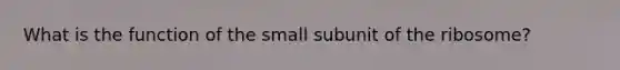 What is the function of the small subunit of the ribosome?