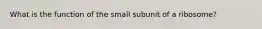 What is the function of the small subunit of a ribosome?