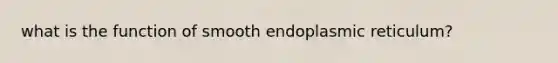 what is the function of smooth endoplasmic reticulum?