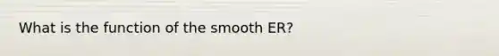 What is the function of the smooth ER?