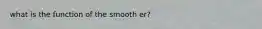 what is the function of the smooth er?