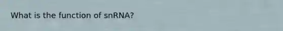 What is the function of snRNA?