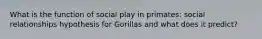 What is the function of social play in primates: social relationships hypothesis for Gorillas and what does it predict?