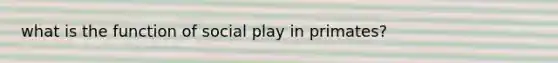what is the function of social play in primates?