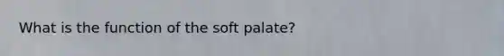 What is the function of the soft palate?