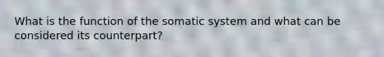 What is the function of the somatic system and what can be considered its counterpart?