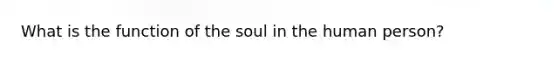 What is the function of the soul in the human person?