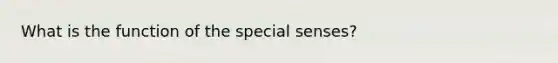 What is the function of the special senses?