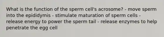 What is the function of the sperm cell's acrosome? - move sperm into the epididymis - stimulate maturation of sperm cells - release energy to power the sperm tail - release enzymes to help penetrate the egg cell