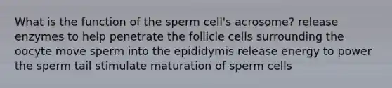 What is the function of the sperm cell's acrosome? release enzymes to help penetrate the follicle cells surrounding the oocyte move sperm into the epididymis release energy to power the sperm tail stimulate maturation of sperm cells