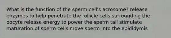 What is the function of the sperm cell's acrosome? release enzymes to help penetrate the follicle cells surrounding the oocyte release energy to power the sperm tail stimulate maturation of sperm cells move sperm into the epididymis