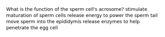 What is the function of the sperm cell's acrosome? stimulate maturation of sperm cells release energy to power the sperm tail move sperm into the epididymis release enzymes to help penetrate the egg cell