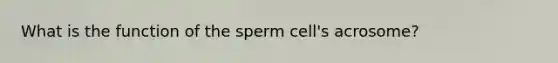 What is the function of the sperm cell's acrosome?