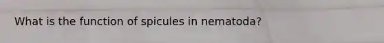 What is the function of spicules in nematoda?