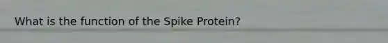 What is the function of the Spike Protein?