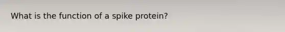 What is the function of a spike protein?