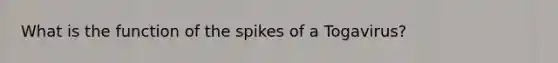 What is the function of the spikes of a Togavirus?