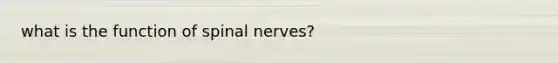 what is the function of spinal nerves?