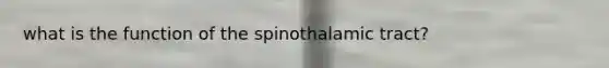 what is the function of the spinothalamic tract?