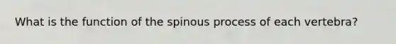 What is the function of the spinous process of each vertebra?