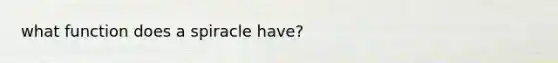 what function does a spiracle have?