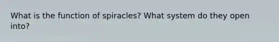 What is the function of spiracles? What system do they open into?