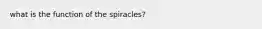 what is the function of the spiracles?