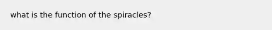 what is the function of the spiracles?