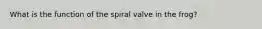 What is the function of the spiral valve in the frog?