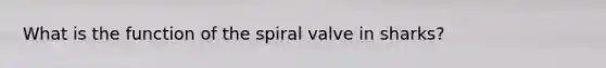 What is the function of the spiral valve in sharks?