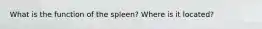 What is the function of the spleen? Where is it located?