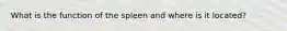 What is the function of the spleen and where is it located?