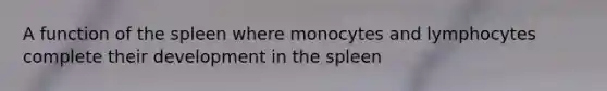 A function of the spleen where monocytes and lymphocytes complete their development in the spleen