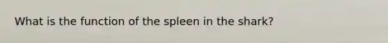 What is the function of the spleen in the shark?