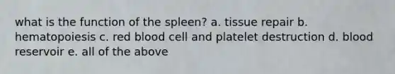 what is the function of the spleen? a. tissue repair b. hematopoiesis c. red blood cell and platelet destruction d. blood reservoir e. all of the above