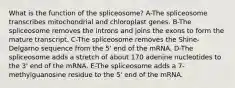 What is the function of the spliceosome? A-The spliceosome transcribes mitochondrial and chloroplast genes. B-The spliceosome removes the introns and joins the exons to form the mature transcript. C-The spliceosome removes the Shine-Delgarno sequence from the 5' end of the mRNA. D-The spliceosome adds a stretch of about 170 adenine nucleotides to the 3' end of the mRNA. E-The spliceosome adds a 7-methylguanosine residue to the 5' end of the mRNA.