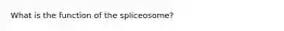 What is the function of the spliceosome?