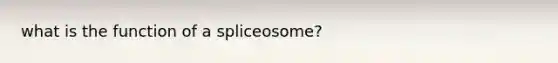 what is the function of a spliceosome?