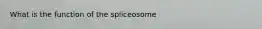 What is the function of the spliceosome