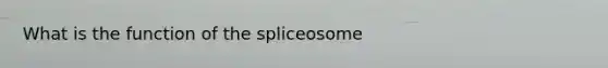 What is the function of the spliceosome