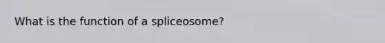 What is the function of a spliceosome?