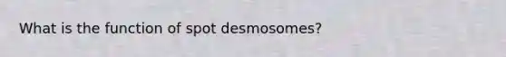 What is the function of spot desmosomes?