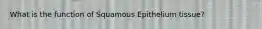 What is the function of Squamous Epithelium tissue?